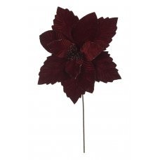 Χριστουγεννιάτικο Λουλούδι Αλεξανδρινό Βυσσινί